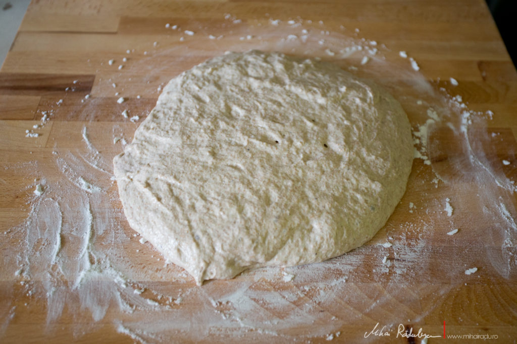 Paine no-knead fara framantare