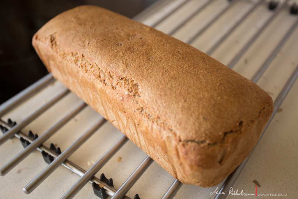 Ballymaloe Irish Brown Bread